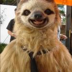 Tooth Sloth