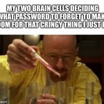 Walter White Cooking | MY TWO BRAIN CELLS DECIDING WHAT PASSWORD TO FORGET TO MAKE ROOM FOR THAT CRINGY THING I JUST DID | image tagged in walter white cooking | made w/ Imgflip meme maker