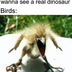 No title | Kindergarten me: I wanna see a real dinosaur; Birds:; *laughs in bird* | image tagged in angry bird,dinosaur,kindergarten | made w/ Imgflip meme maker