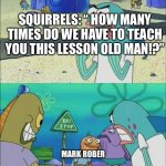 Mark Rober vs. Squirrels | MARK ROBER SQUIRRELS: “ HOW MANY TIMES DO WE HAVE TO TEACH YOU THIS LESSON OLD MAN!?” | image tagged in how many times do we have to teach you this lesson | made w/ Imgflip meme maker