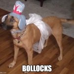 bollocks | BOLLOCKS | image tagged in courageous dog | made w/ Imgflip meme maker