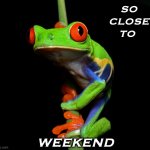 Just hang on | SO
CLOSE
TO; WEEKEND | image tagged in curious tree frog,frog,cute,weekend | made w/ Imgflip meme maker