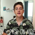 pigs on video