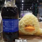 Drunk Duck Meme | NAH! THIS IS TEA, NOT BOOZE | image tagged in drunk duck | made w/ Imgflip meme maker