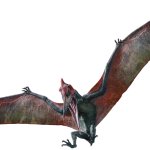 Pteranodon 2 (JW Design)