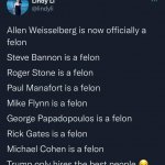 Trump associate felons