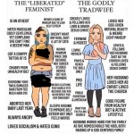 The liberated feminist vs. the Godly tradwife