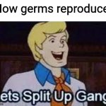 lets split up gang | How germs reproduce: | image tagged in lets split up gang,funny memes,lol | made w/ Imgflip meme maker