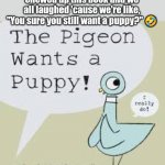 We were laughing so hard. | About two days ago my dog chewed up this book and we all laughed 'cause we're like, "You sure you still want a puppy?" 🤣 | image tagged in the pigeon wants a puppy book,funny memes | made w/ Imgflip meme maker