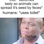 Poor fruit | fruit: *becomes tasty so animals can spread it's seed by feces* humans: *uses toilet* The fruit: | image tagged in am i a joke to you | made w/ Imgflip meme maker