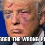 Trump Grabbed the Wrong Pussy