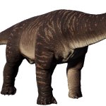 Nigersaurus (JWE Design)