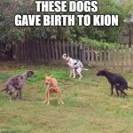 Dogshit | THESE DOGS GAVE BIRTH TO KION | image tagged in dogshit,memes,president_joe_biden,funny,the lion guard,dogs | made w/ Imgflip meme maker