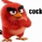 red angry birds cock