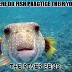Daily Bad Dad Joke 08/22/2022 | WHERE DO FISH PRACTICE THEIR YOGA? THE RIVER BEND. | image tagged in questioning fish | made w/ Imgflip meme maker