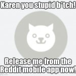 Ironic doge meme | Karen you stupid b*tch! Release me from the Reddit mobile app now! | image tagged in wow such empty | made w/ Imgflip meme maker