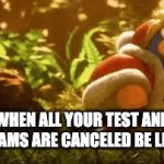#imagine | WHEN ALL YOUR TEST AND EXAMS ARE CANCELED BE LIKE | image tagged in funny,tests | made w/ Imgflip video-to-gif maker