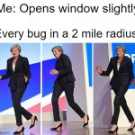 Good luck getting to sleep tonight with bzzz bzzz flying around all night long | Me: Opens window slightly; Every bug in a 2 mile radius: | image tagged in theresa may walking,fly | made w/ Imgflip meme maker