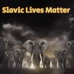 96 Elephants: so what? | Slavic Lives Matter | image tagged in 96 elephants so what,slavic | made w/ Imgflip meme maker