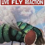 live fly reaction meme