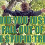 Stupid Tree | DID YOU JUST FALL OUT OF THE STUPID TREE? DID YOU JUST FALL OUT OF THE STUPID TREE? | image tagged in tree fall,memes,funny,insults,comeback,reactions | made w/ Imgflip meme maker