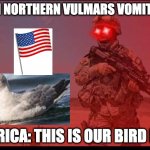 The Real Freedom Bird | WHEN NORTHERN VULMARS VOMIT'S OIL; AMERICA: THIS IS OUR BIRD NOW | image tagged in triggered us soldier | made w/ Imgflip meme maker