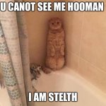 E | U CANOT SEE ME HOOMAN; I AM STELTH | image tagged in sneaky cat | made w/ Imgflip meme maker
