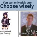 I'd choose wise if I were you | Rick Astley
(Will never give you up) | image tagged in choose wisely | made w/ Imgflip meme maker