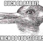 Tell the truth | DUCK OR RABBIT; WHICH DO YOU SEE FIRST | image tagged in illusion | made w/ Imgflip meme maker