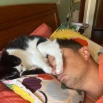 Sleeping with cats