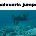 anomalocaris jumpscare GIF Template