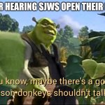 Maybe there's a good reason donkeys shouldn't talk | ME AFTER HEARING SJWS OPEN THEIR MOUTHS | image tagged in maybe there's a good reason donkeys shouldn't talk | made w/ Imgflip meme maker