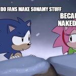 So True | HEY AMY, WHY DO FANS MAKE SONAMY STUFF; BECAUSE YOUR NAKED AND SEXY | image tagged in sonic and amy christmas special | made w/ Imgflip meme maker