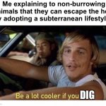 Solid logic | Me explaining to non-burrowing animals that they can escape the heat by adopting a subterranean lifestyle:; DIG | image tagged in be a lot cooler if you did,funny memes | made w/ Imgflip meme maker