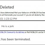 Banned from ROBLOX [2008 Interface Edition] | Account Deleted; 3/23/2021 1:23:12 PM; He is a jerk; Profanity; Your account has been terminated. | image tagged in banned from roblox 2008 interface edition | made w/ Imgflip meme maker