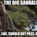 The Big Gandalfski | THE BIG GANDALFSKI; "YOU, LIKE, SHOULD NOT PASS, DUDE" | image tagged in the big lebowski,lord of the rings | made w/ Imgflip meme maker
