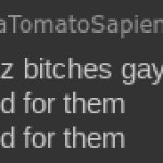 deez bitches gay