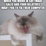 sales support | WHEN YOU WORK IN SOFTWARE SALES AND YOUR RELATIVES WANT YOU TO FIX THEIR COMPUTER | image tagged in evil laughing cat | made w/ Imgflip meme maker