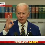 Biden Zero