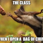 Squirrel reaching for nut | THE CLASS; WHEN I OPEN A  BAG OF CHIPS | image tagged in squirrel reaching for nut,memes | made w/ Imgflip meme maker