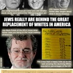 JEWS ARE NOT WHITES/EUROPEANS.THEY ARE AN ETHNO-RACIAL MAFIA