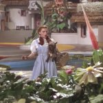 not in kansas anymore