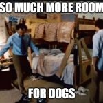 so much more room for activities | SO MUCH MORE ROOM; FOR DOGS | image tagged in so much more room for activities | made w/ Imgflip meme maker