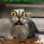 Use this if someone says "I don't care" | The person reading this; Indeed cares and can't change their mind about it | image tagged in astonished wet cat,your argument is invalid | made w/ Imgflip meme maker