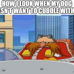 sad eggman | HOW I LOOK WHEN MY DOG DOESN'T WANT TO CUDDLE WITH ME | image tagged in eggman is disappointed - sonic x,eggman,dog,dog memes,sonic the hedgehog | made w/ Imgflip meme maker