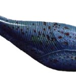 Arandaspis