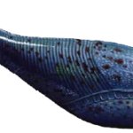 Arandaspis