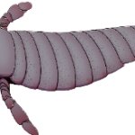 Pterygotus
