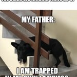 Idk man | ME:PULLS THE LEVER TO MAKE THE CHAIR LEG HINGING THING GO UP; MY FATHER:; I AM TRAPPED IN MY OWN LAZYNESS | image tagged in dog traped on stairs | made w/ Imgflip meme maker