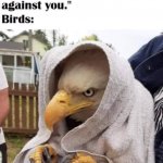 Birds are evil